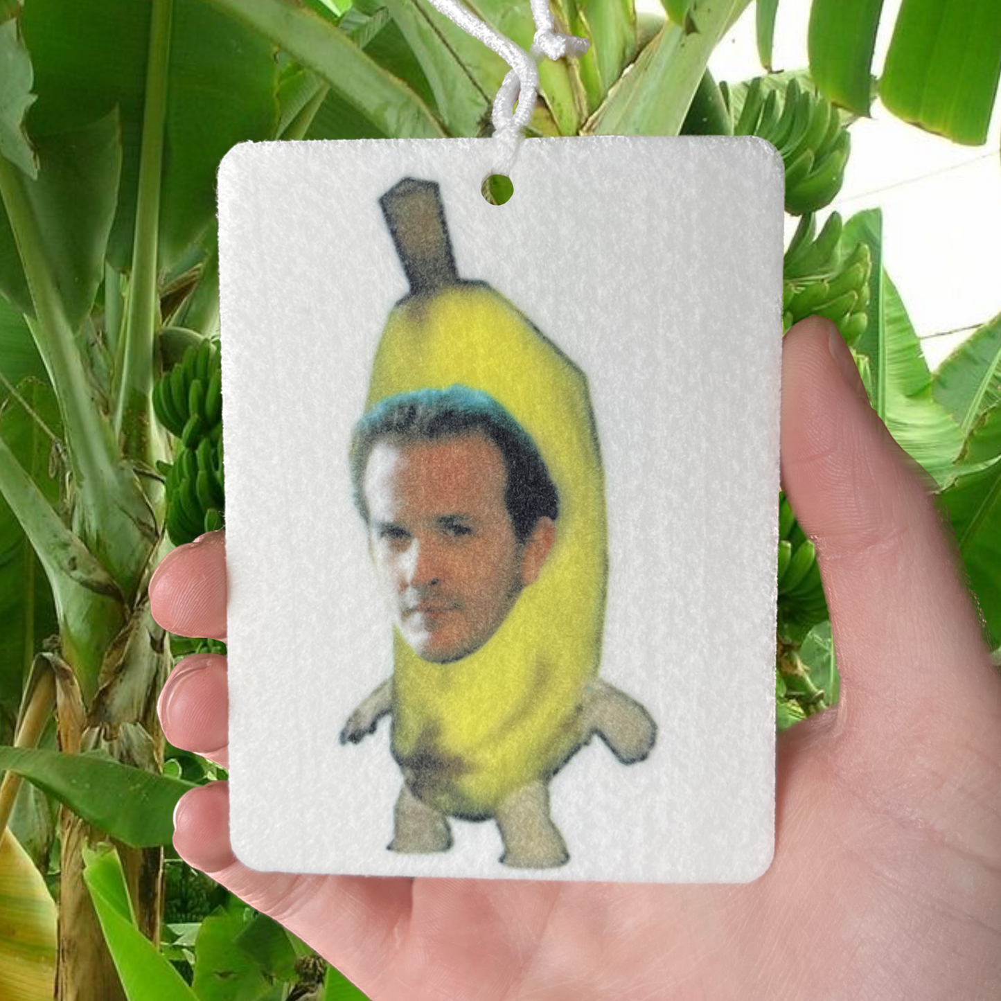 Banabriel car freshener