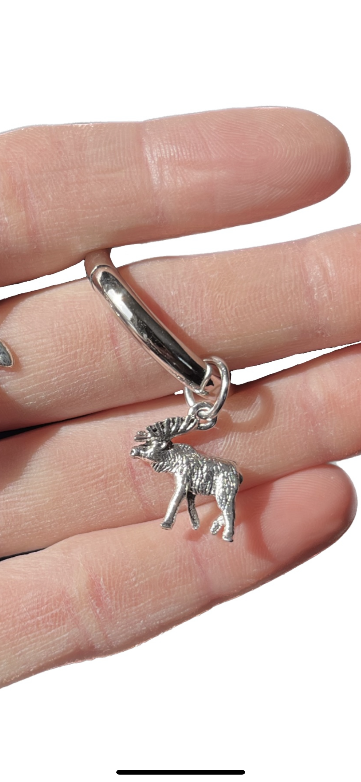 Squirrel & Moose boot charms