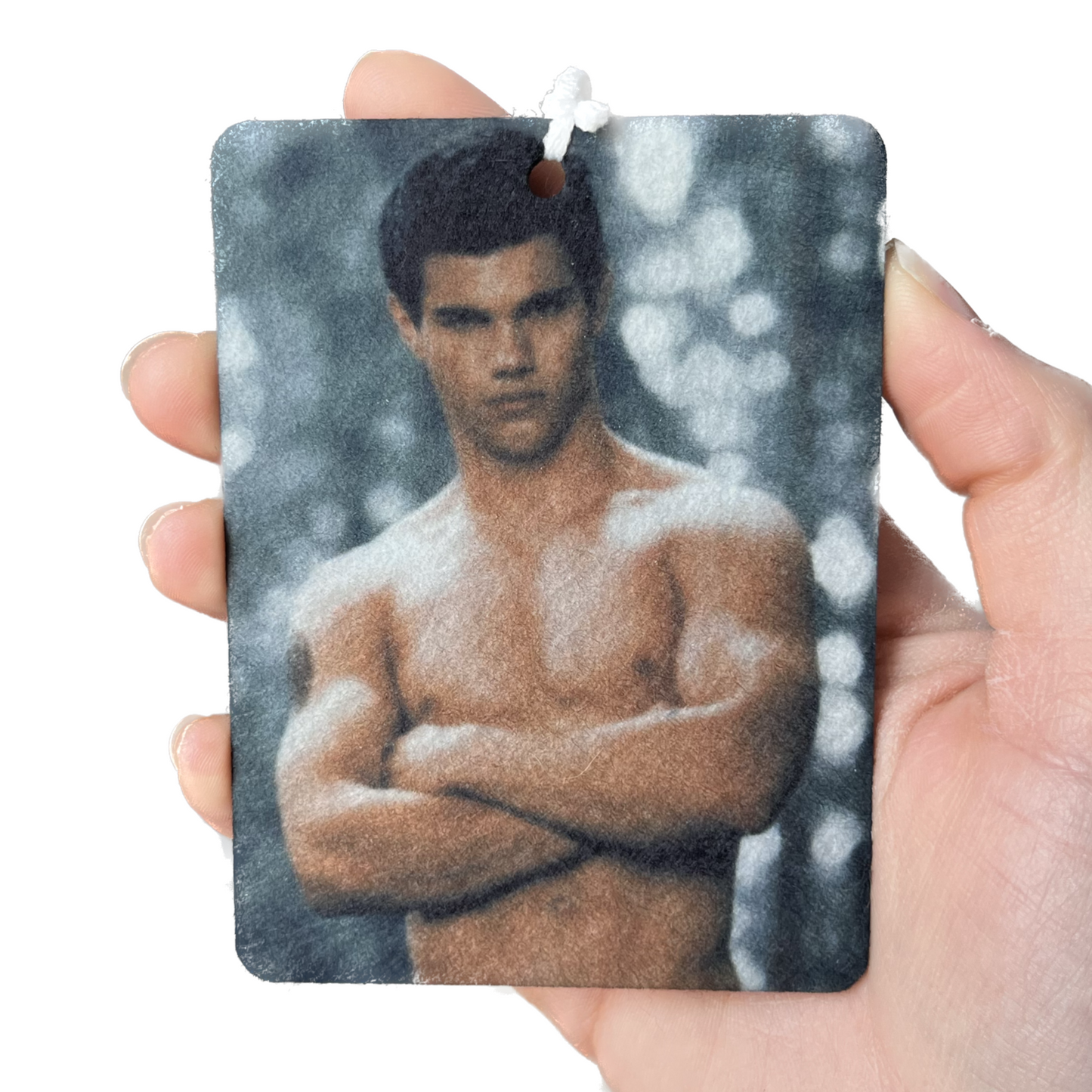 Jacob Black car freshener (shirtless)