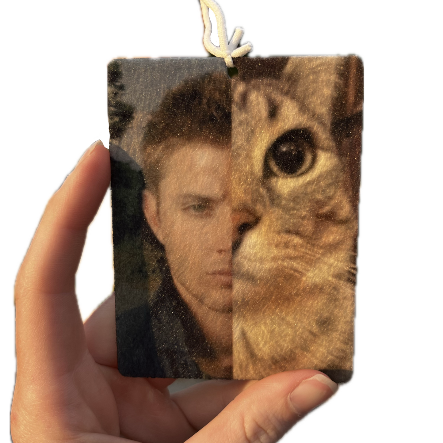 Cat Dean car freshener