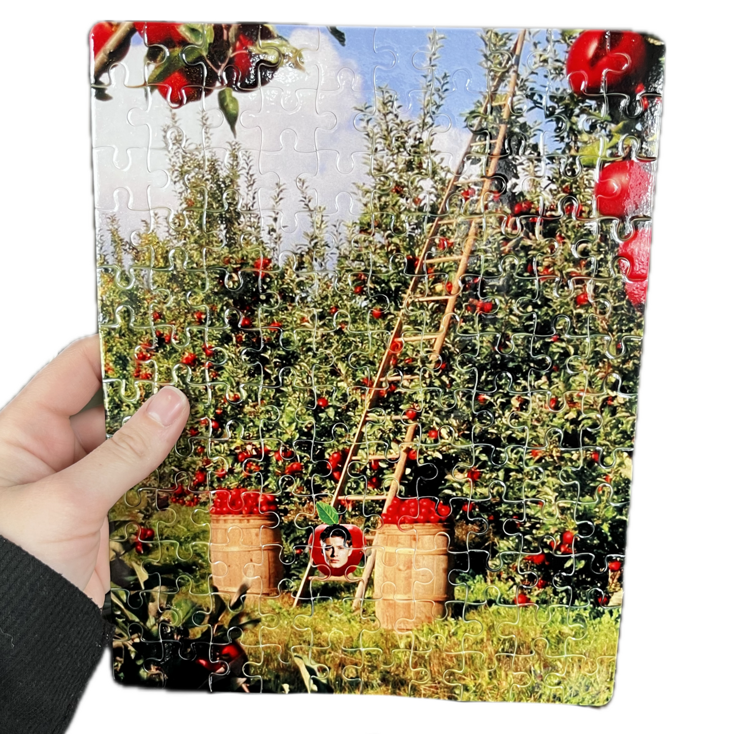 Apple Dean puzzle