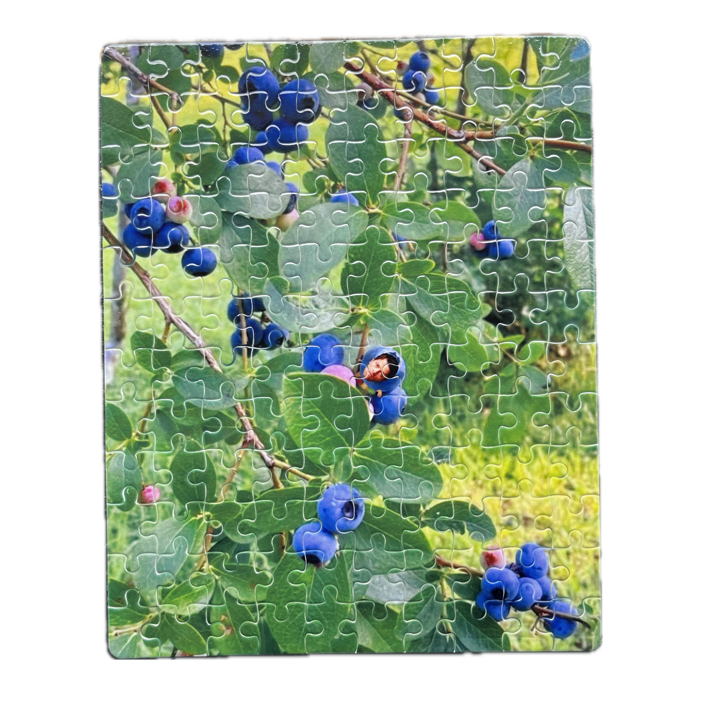 Bluebstiel puzzle