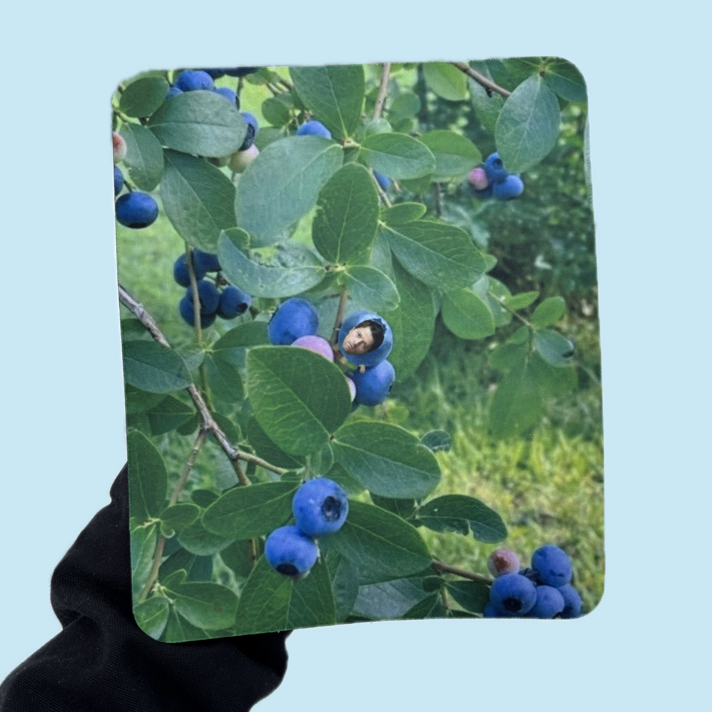 Team Fruit Will mouse pads