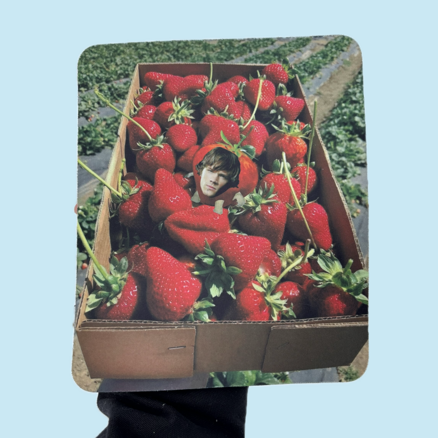 Team Fruit Will mouse pads