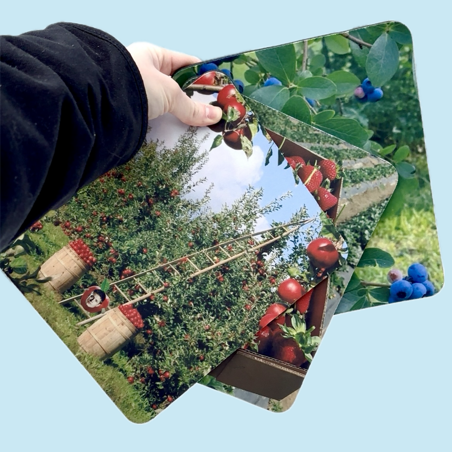 Team Fruit Will mouse pads